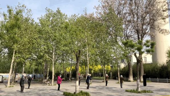 五个月未见面的聊城大学,现在你怎么样了?