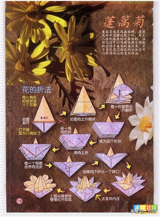 折纸大全方便又漂亮又实用,精致实用的折纸大全步骤