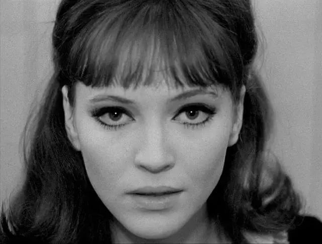 法国新浪潮和左岸派,法国新浪潮时期爱情电影