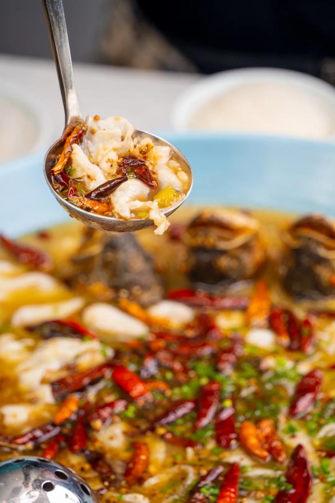 女生同行4.9折开吃！这家“网蓝”酸菜鱼店太“偏心”