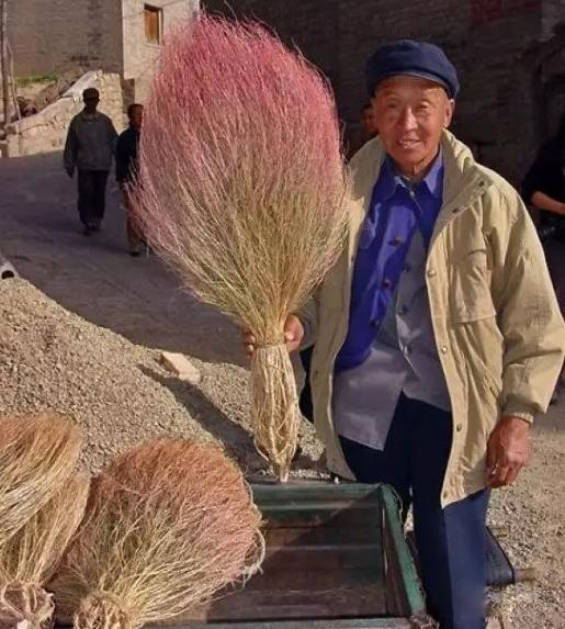 农村常吃的40种野菜你吃过几种呢,这10多种野菜你吃过哪些