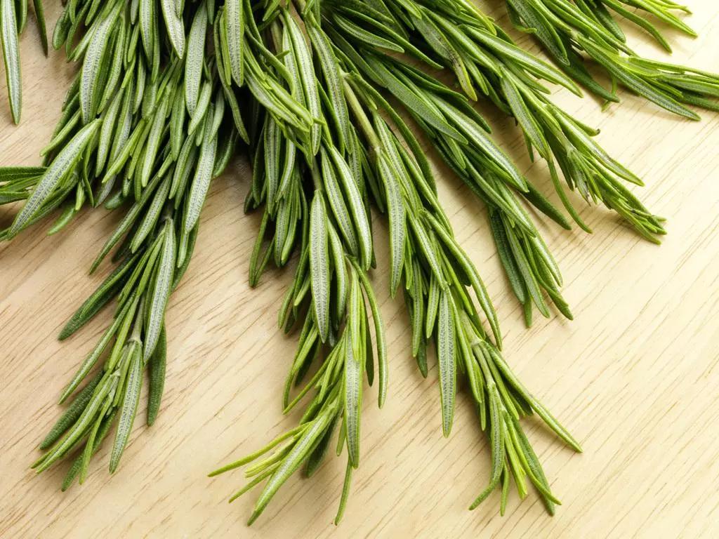 头皮一直出汗痒,头皮多痒出油掉发严重怎么办