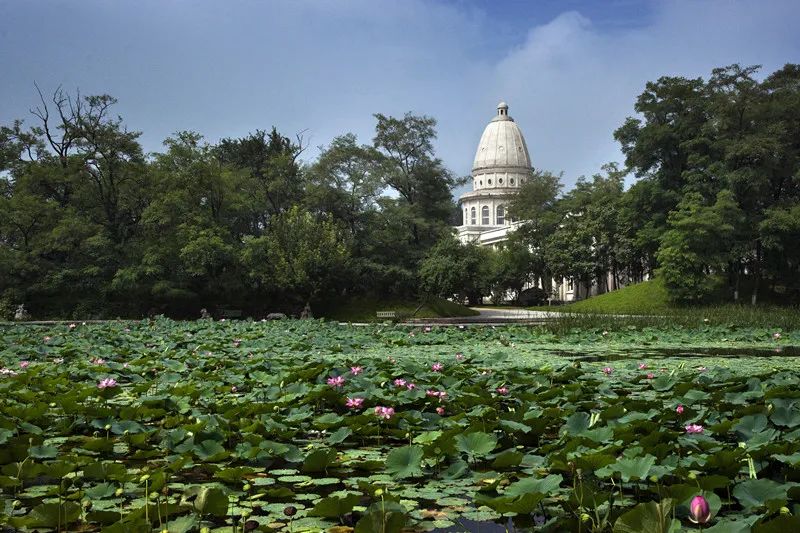 让那熟悉的旋律《绿岛》,带你我推开新学期的大门!