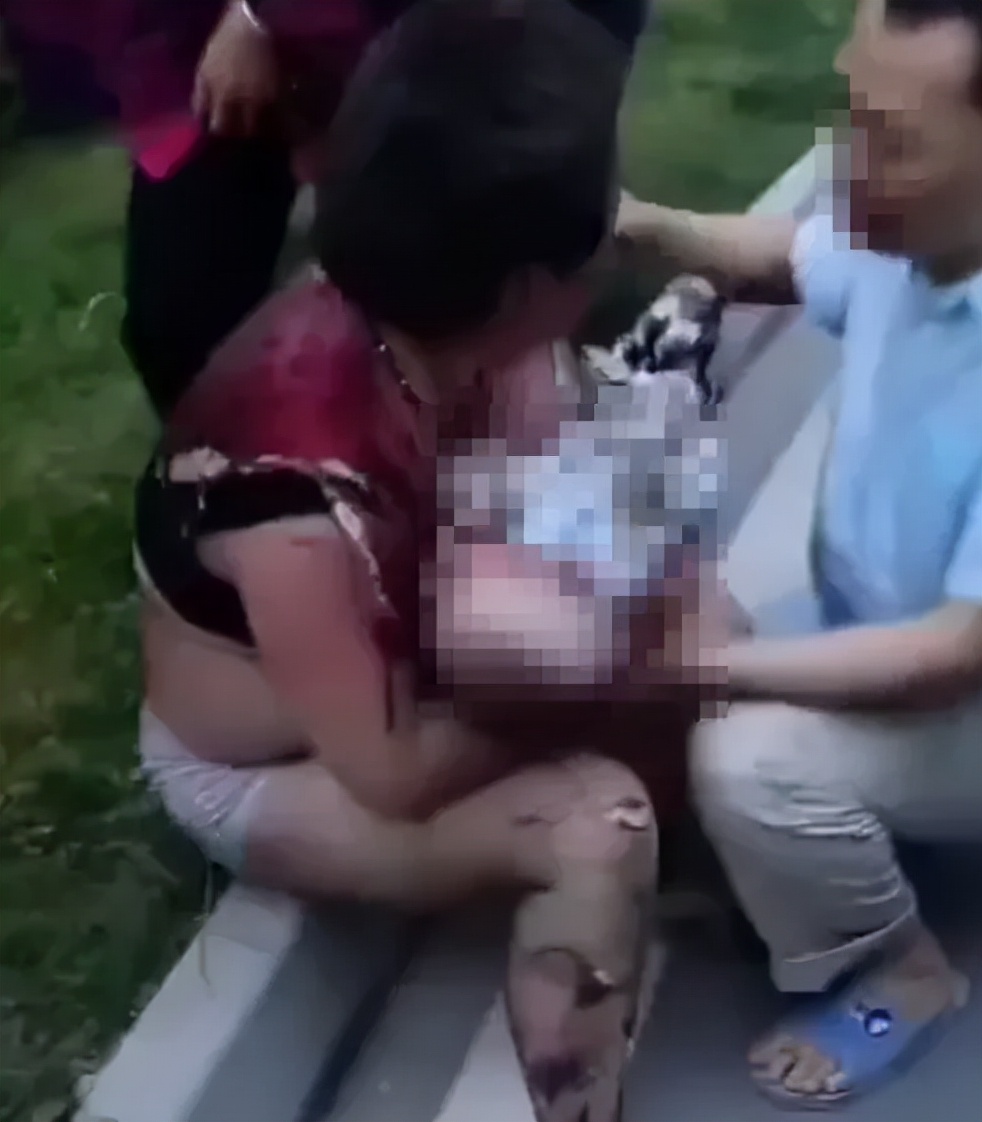 夺命玩具,夺命网红玩具