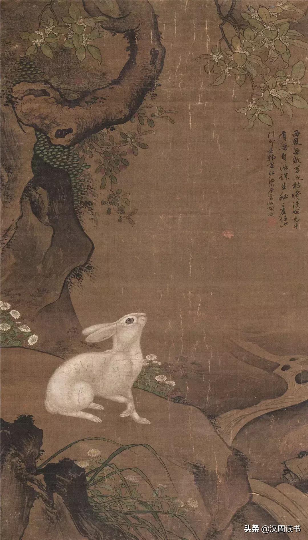 为什么中国人自古喜欢兔子,为什么中国古时喜欢兔子