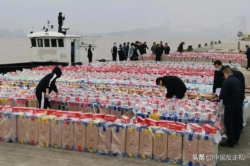 国门利剑行动,国门利剑2018全集