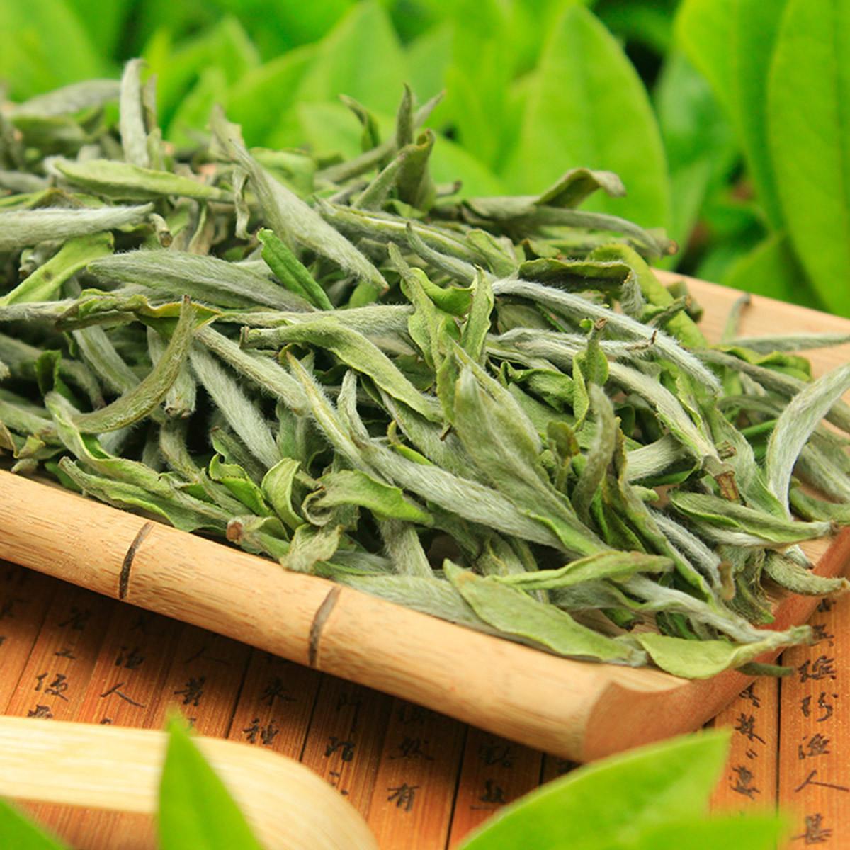 白毫银针茶产地在哪里,白茶白毫银针产地排行榜