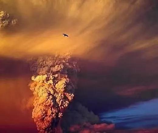 老祖宗宝贝大全,老祖宗留下的中医国粹