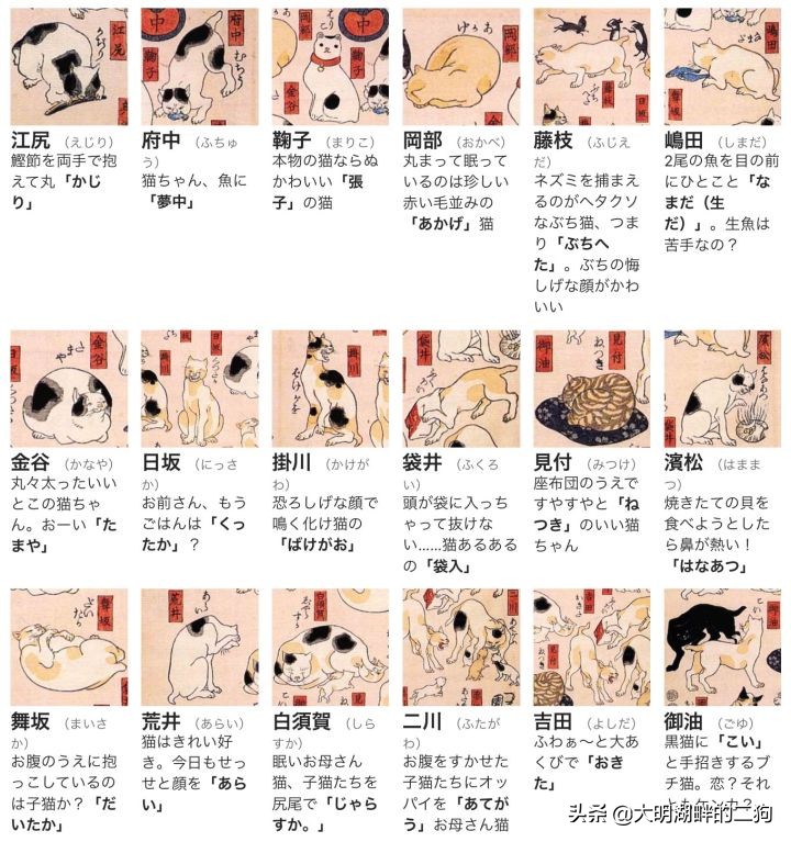 日本皇室特别喜欢给动物封官,每一个级别都比大名高