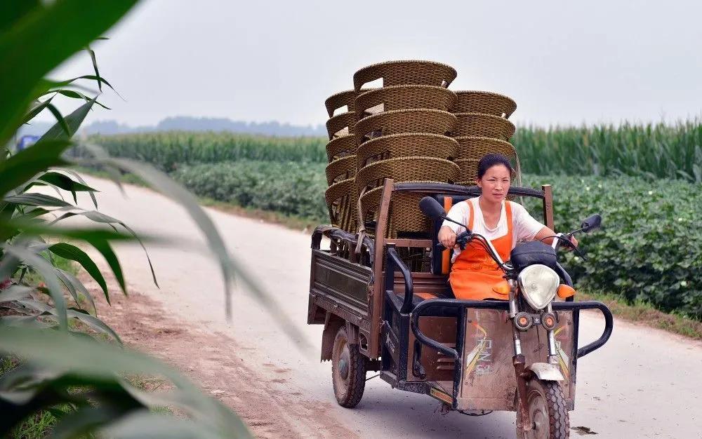 乡党委书记亲自为全乡农产品代言,村书记为家乡农产品代言