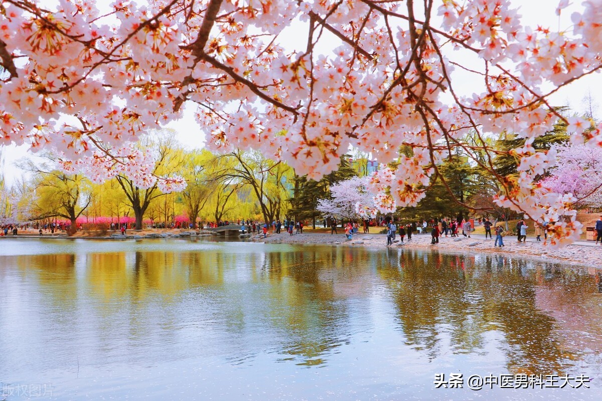 肾虚最严重的后果会导致什么,肾虚4大危害你了解吗