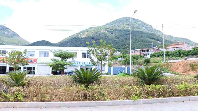 泉州这家印尼华侨开的“三无”小破店,12年了居然还没倒闭