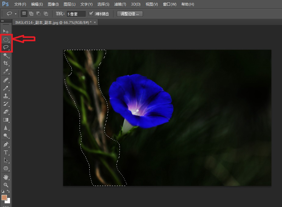 荷花的滤镜怎么调,荷花滤镜拍摄技巧