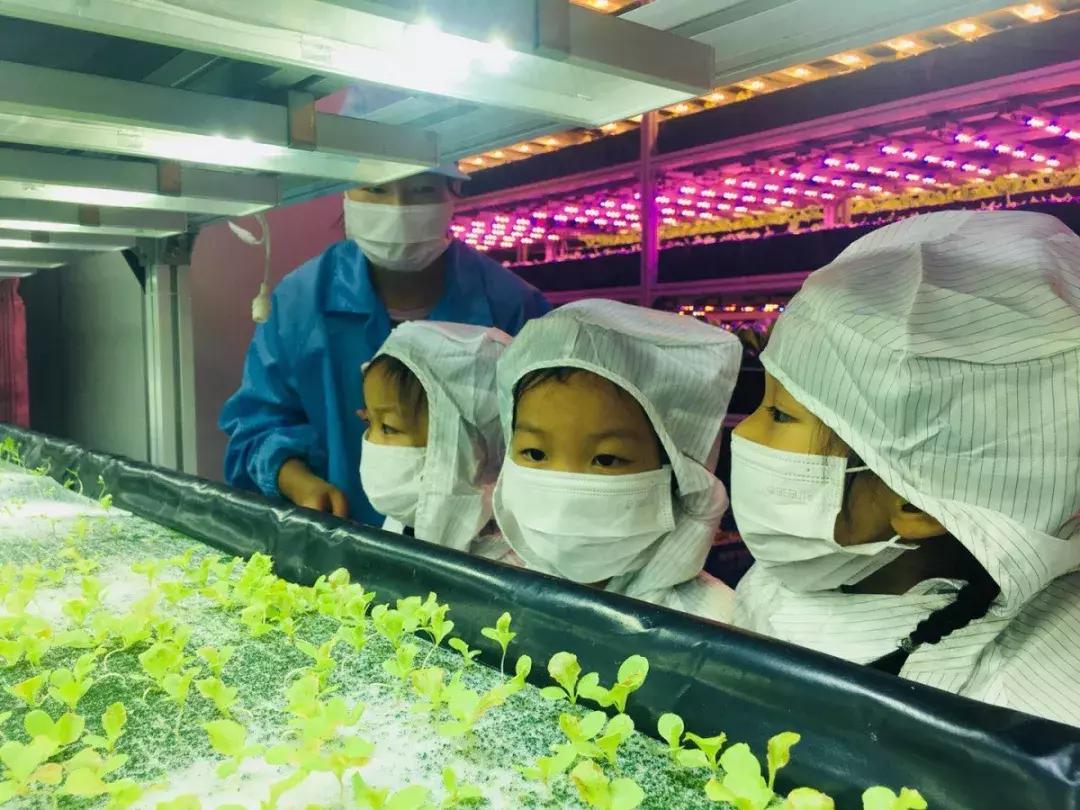 深圳「废弃染布厂」变废为宝，化身“湖畔花园”美若世外桃源！