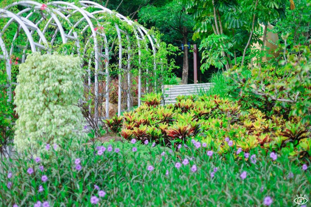 深圳宝藏公园风景图片,深圳宝藏自然游乐区