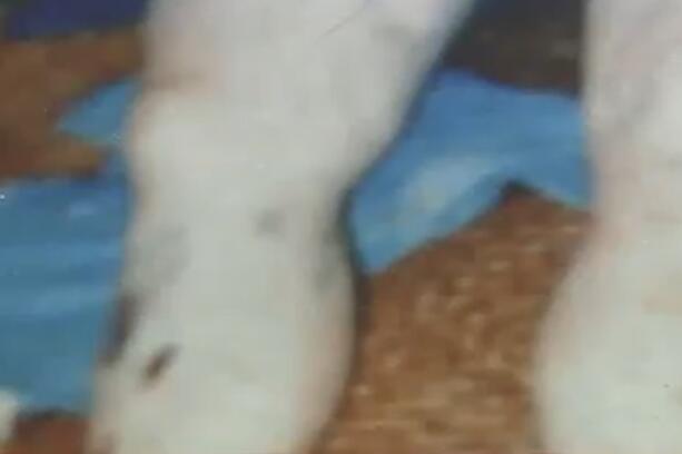 女子死后尸体被回收带走,女子死后16年遗体不腐惊动专家