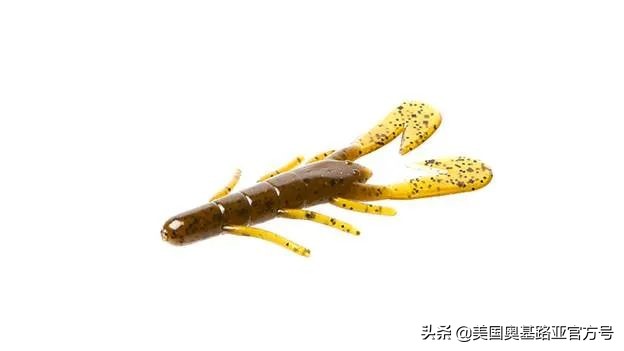 全国渔具展会2024时间表,全国渔具展2024