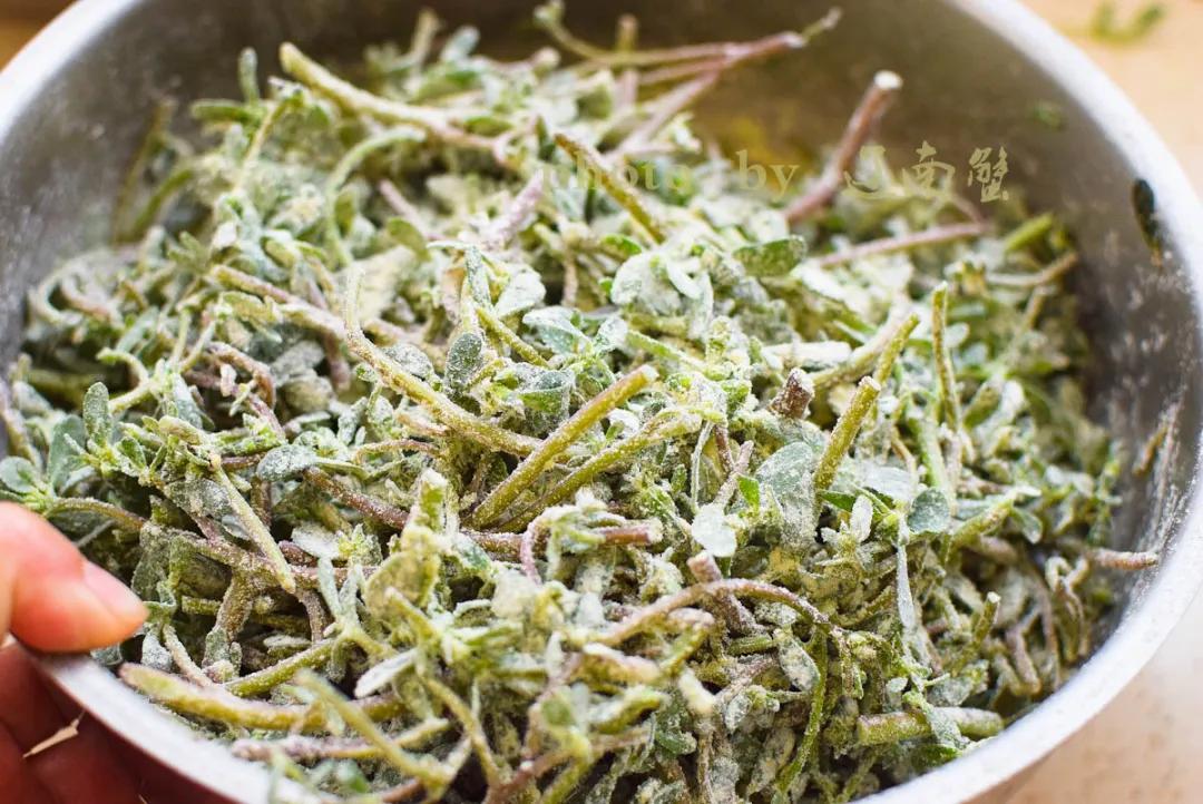 马齿苋是长寿菜你知道吗,马齿苋夏天