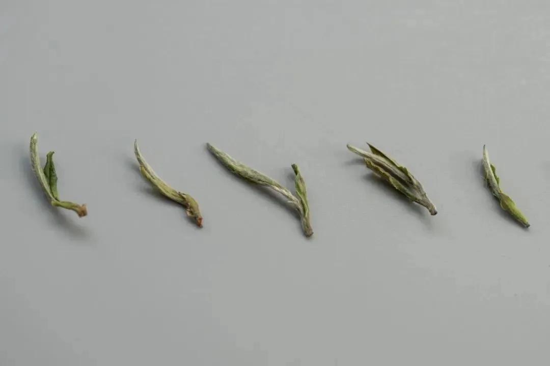 夏季祛暑吃什么养生茶好,小暑养生大全