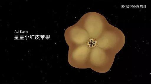 据说水果涨价,跟这剧的大火有点关系