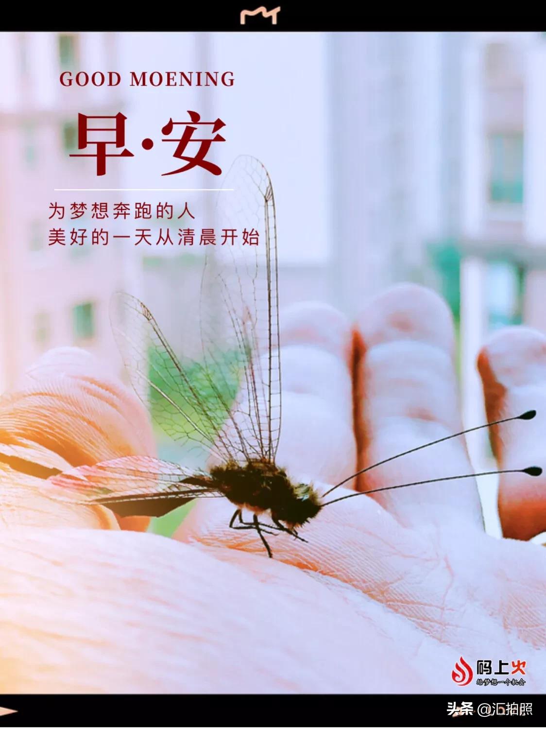 记住摄影口诀,轻松拍出好照片!