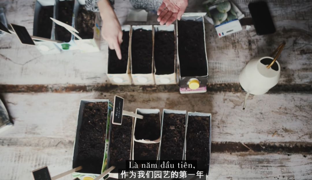 李子柒靠海外视频月入80万,德国版李子柒