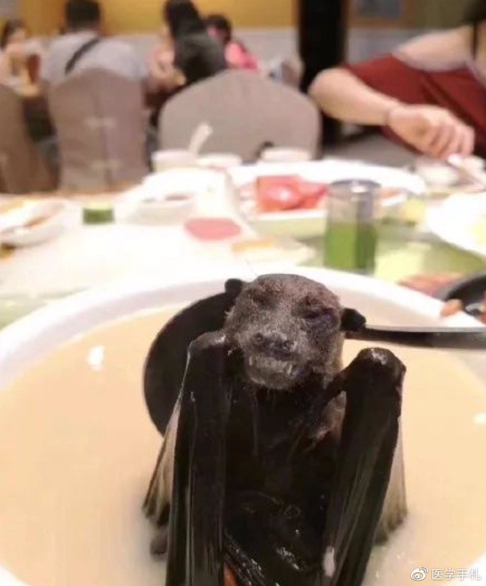 辟谣食物安全,辟谣吃人参可以挽救生命吗