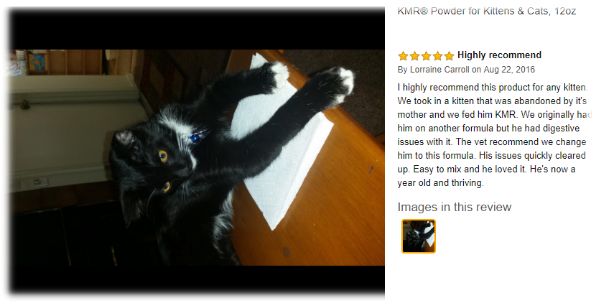 谁在证明PetAg美国倍酷奶粉的强大口碑？来自全球用户的真实反馈