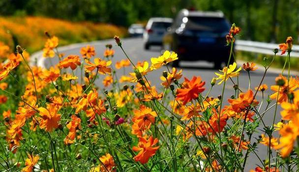对付情商低的男人的最好办法,面对情商低的男友