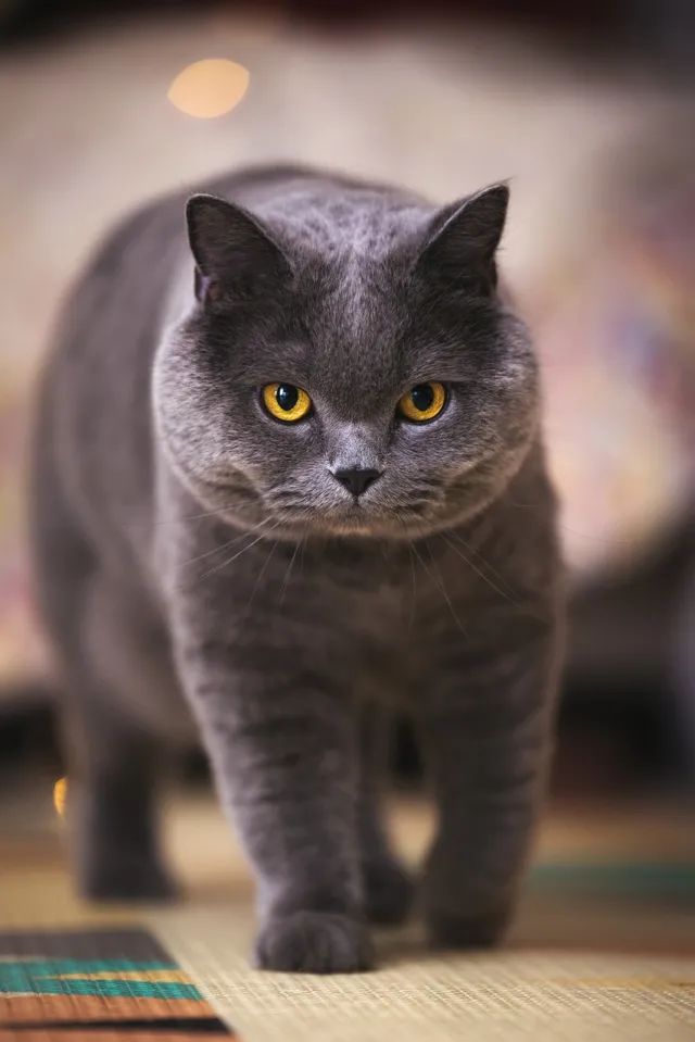 连用90天，拍摄近千G。EOSR5发布三个月后的使用报告