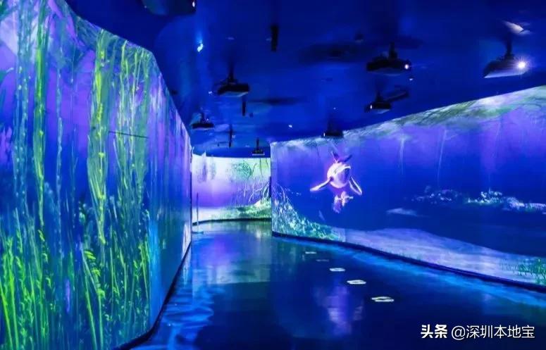 晚上去哪玩？深圳景点夜场活动不少！门票还有优惠