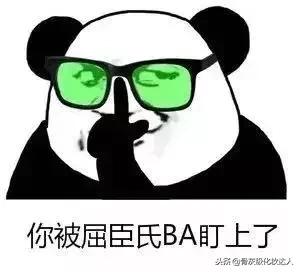 拔草清单|看看是哪些不好用的家伙伤害了我的钱包!