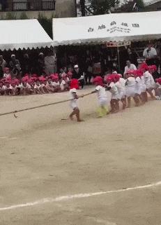 自打有了拼多多，羊毛*党**都不去别家了