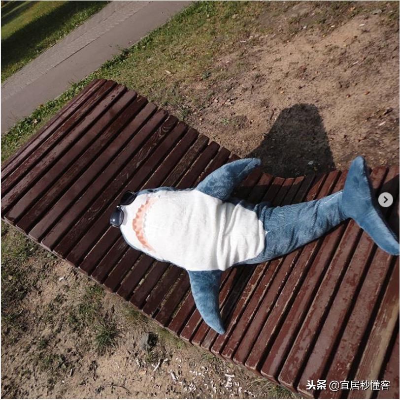 宜家小鲨鱼,为什么宜家鲨鱼火了