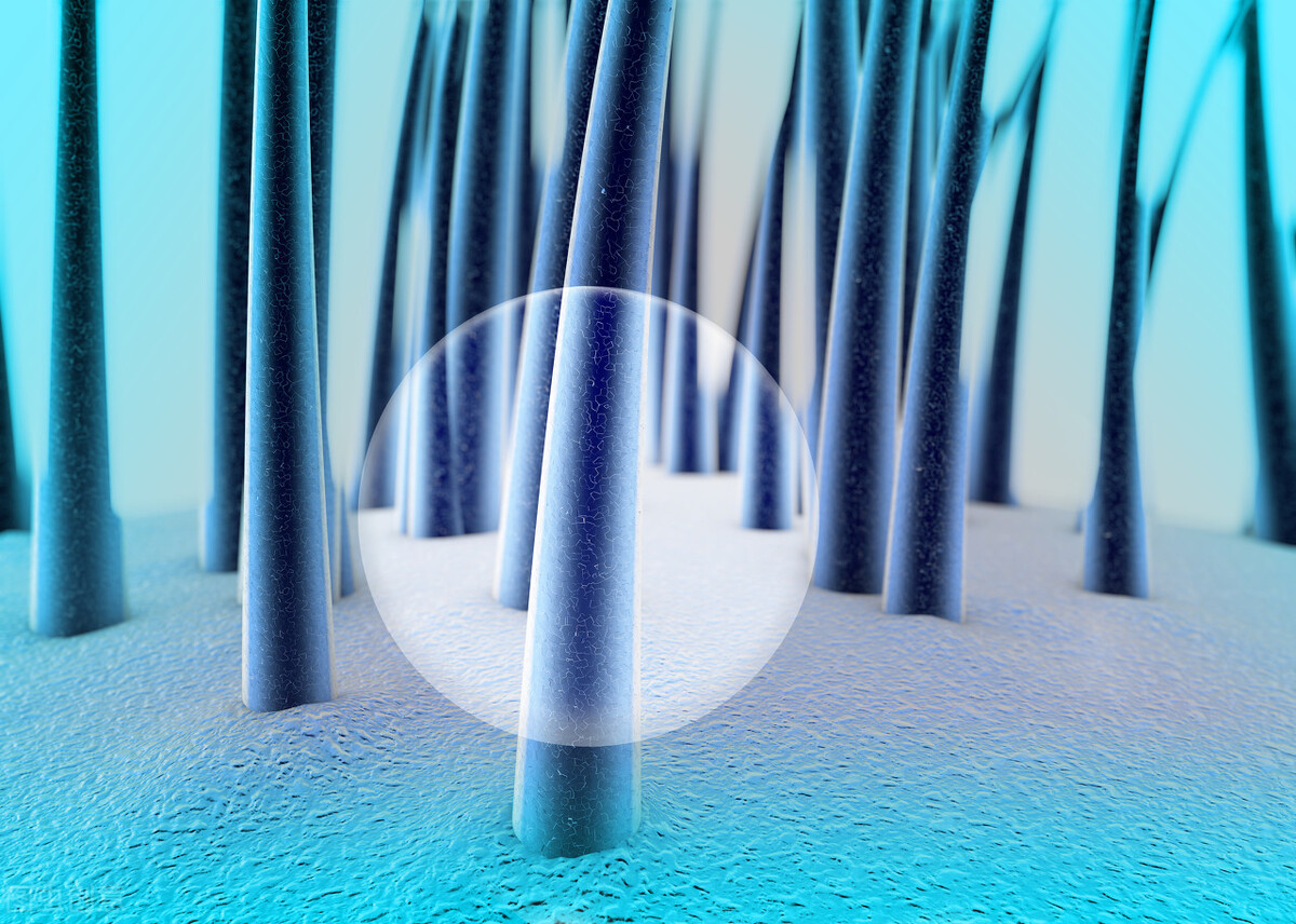 做植发标准流程是什么样的,植发必须去医院做吗