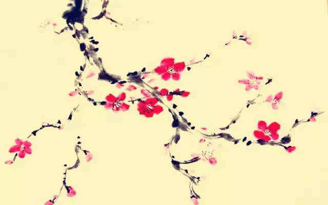 梅花易数代表什么意思,梅花易数中呼应关系