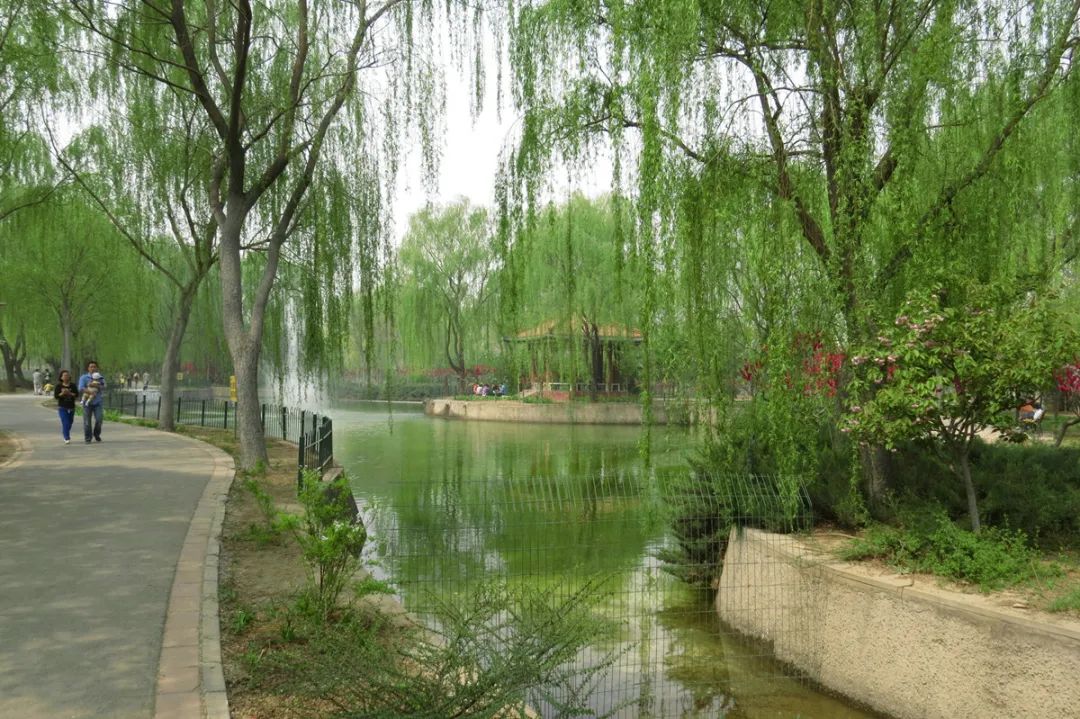 北京戒台寺郊野公园,北京燕山东岭郊野公园