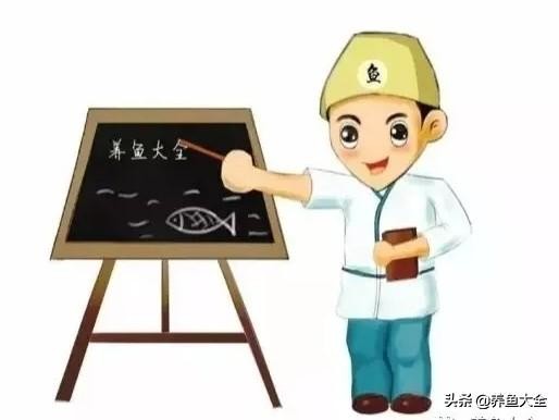 治疗鱼病最好的方法,鱼病的治疗心得