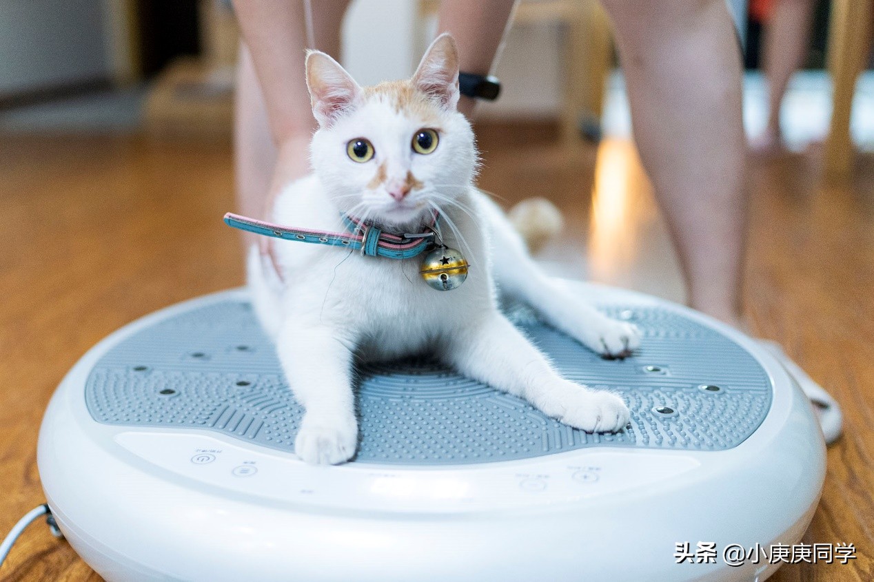 在家里减肥运动快速燃脂,懒人甩脂机能减肥吗