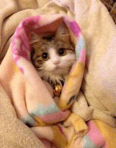 车门下面的塑料板裂了怎么修复,车门侧边裂了怎么修补