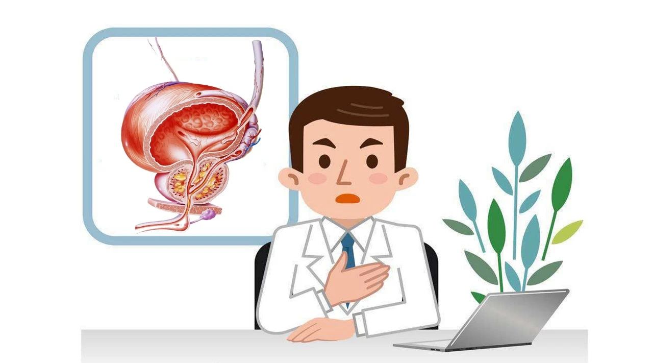 前列回春胶囊能治疗前列腺增生吗,前列回春胶囊治前列腺得吃多少盒