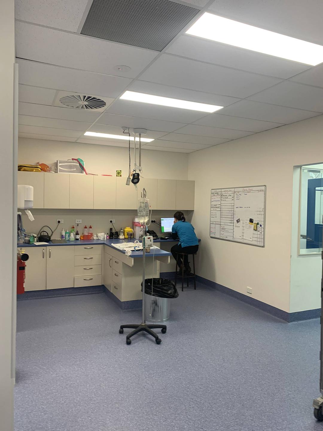 塔斯马尼亚心形小岛,降落西沙群岛