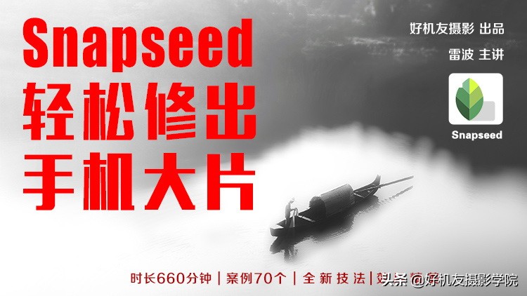 国外摄影师摄影技巧,野生生物摄影师的摄影技巧