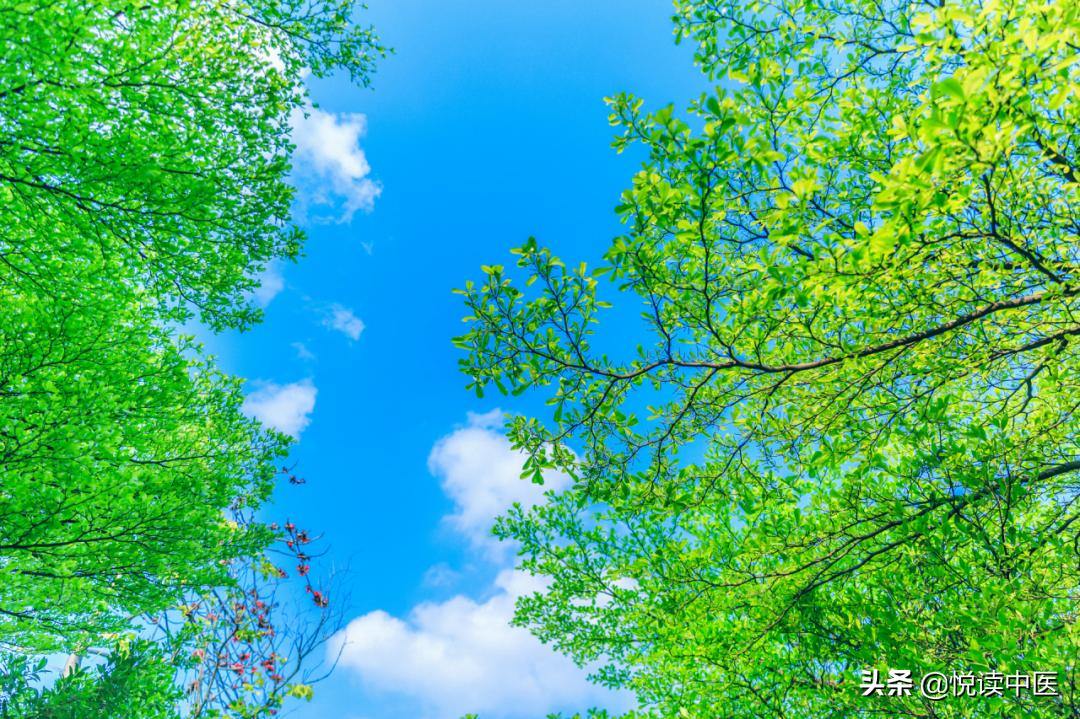 湿疹和银屑病的症状,湿疹与银屑病的区别