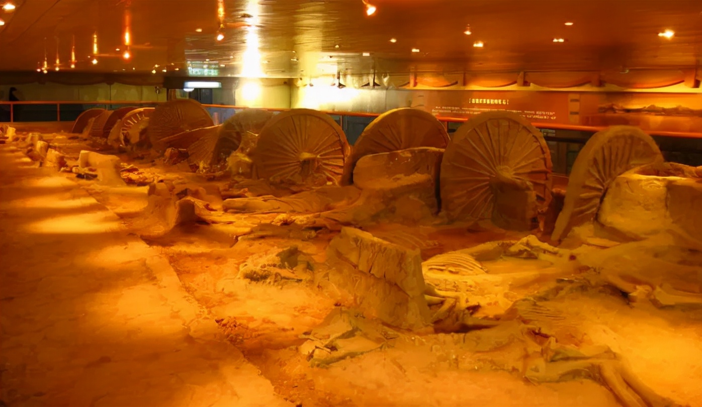 山东旅行不能错过的15个地方,山东出发向南自驾游最美线路推荐