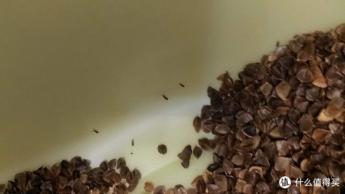 枕头选购推荐,成人枕头挑选