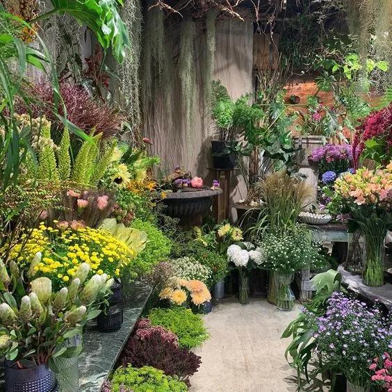 品人间清欢,一方庭院品人间清欢