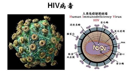 警惕病毒次生危害,警惕多种病毒一并来袭