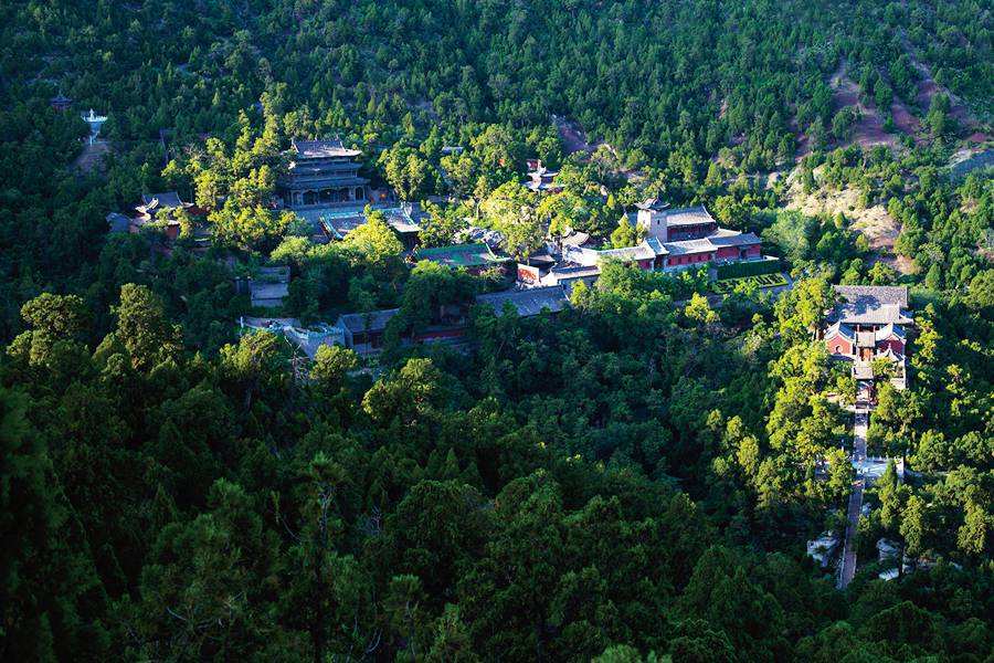 山西天下第一柏在哪里,山西省最奇特的山