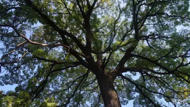 骑行夫子岭-京娘湖,穿越峻极关又进景区了,到河北是一路的美景